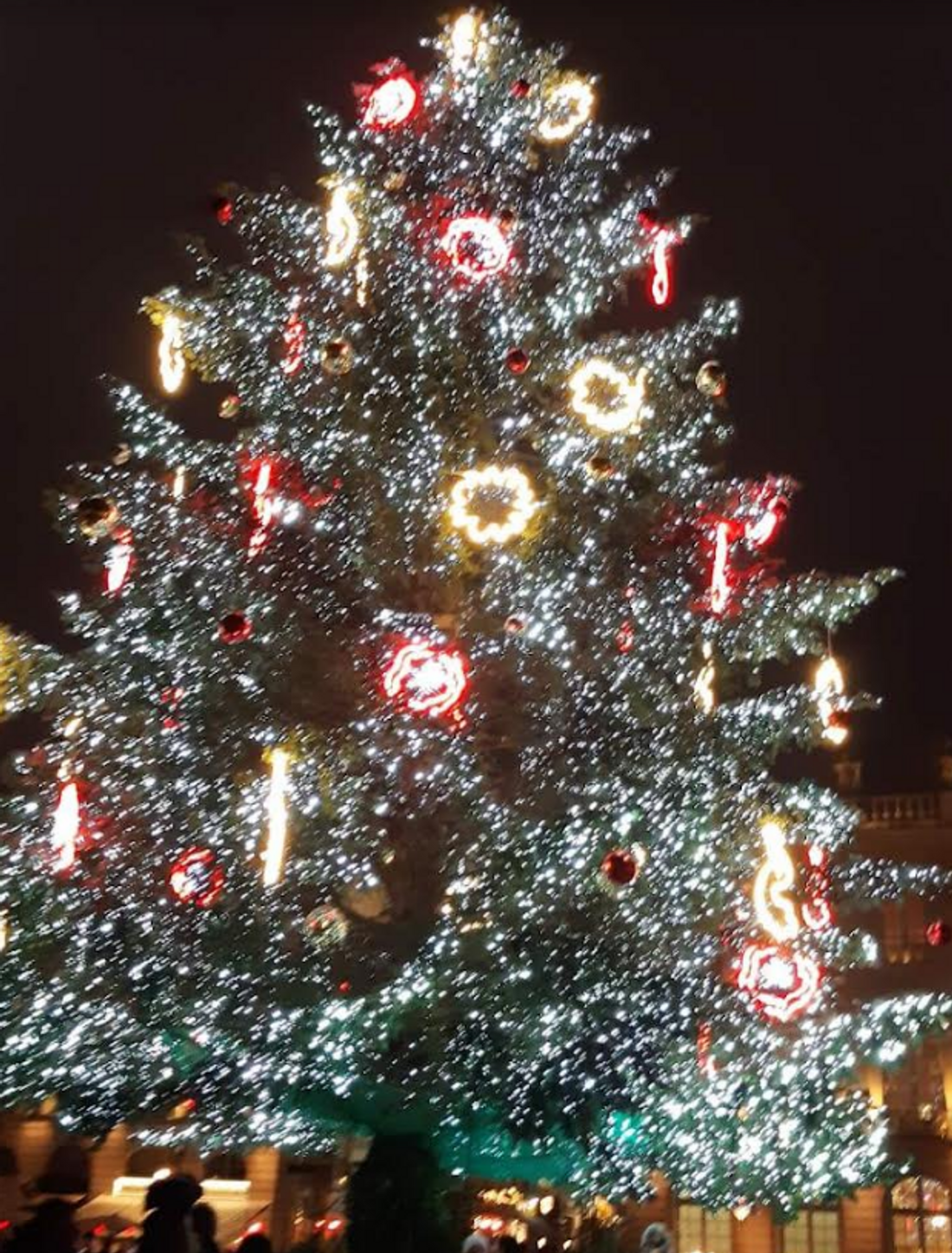 Le Sapin de la Place Stanislas